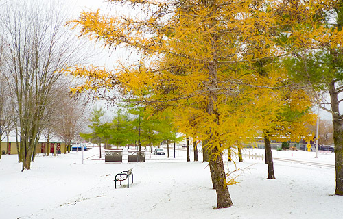 Winter day