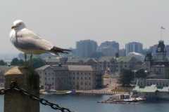 Royal Military College of Canada