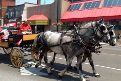 Horse wagon