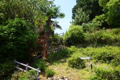 珠城山古墳群