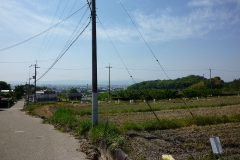景行天皇纒向日代宮跡から見た纒向の平野