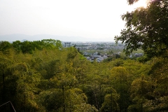 大神神社から見た纒向の平野