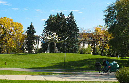 University of Calgary